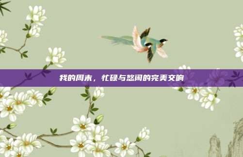 我的周末，忙碌与悠闲的完美交响