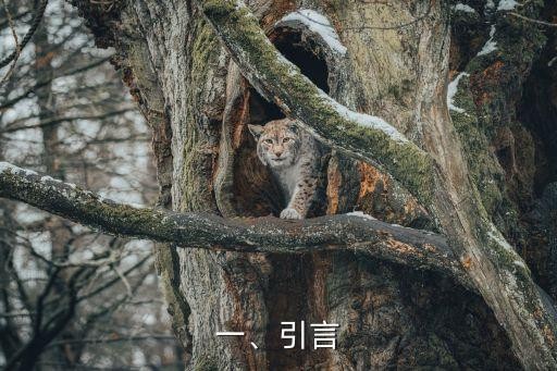 践行运动健康的生活方式,拥抱运动，享受健康生活方式