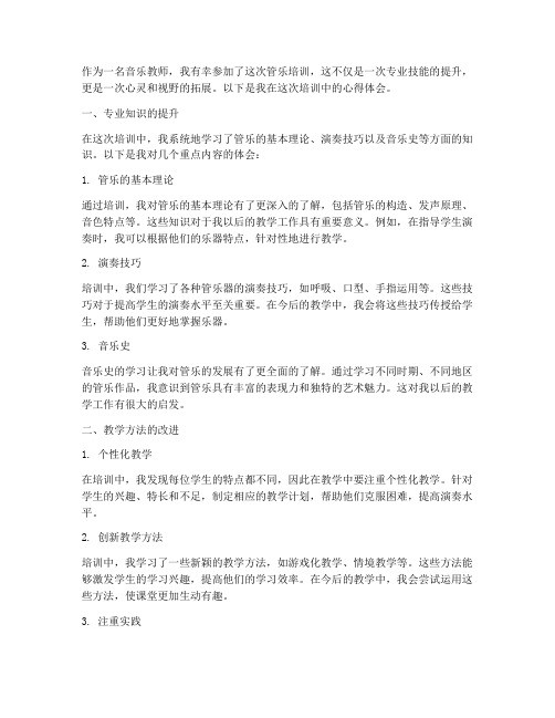 教师管乐培训心得体会