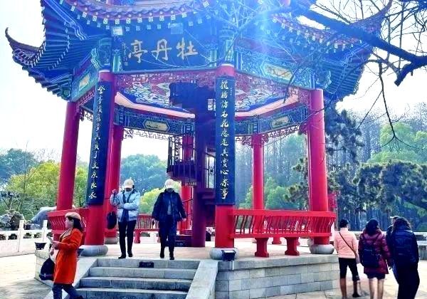 东湖春日赏花与文化体验之旅