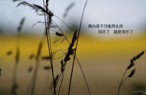 情侣之间浪漫的12件小事，为你的爱情生活增添一份温馨与美好