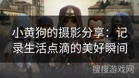小黄狗的摄影分享：记录<a target=