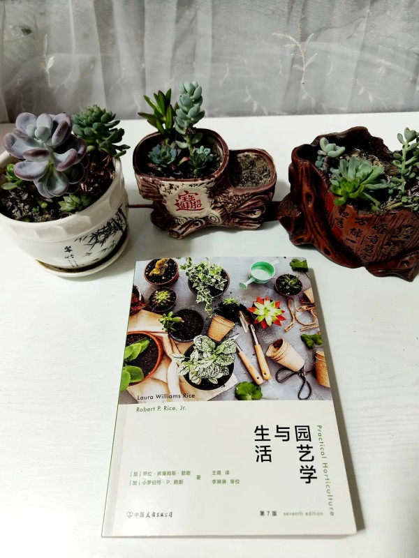 园艺小白们看过来！