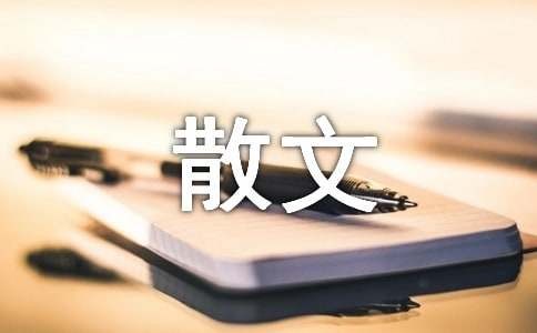 厨房间的乐趣散文