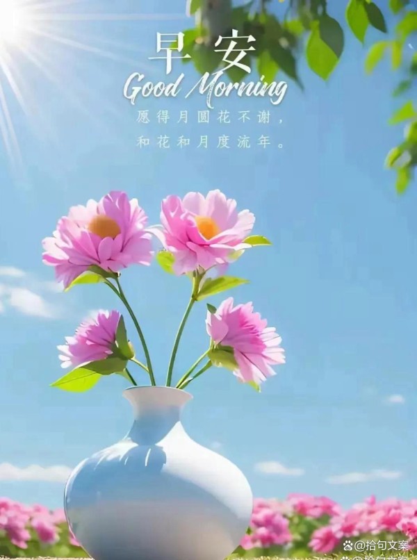 今日最新早上好问候文案：让我们快乐的过好每一天，健康快乐
