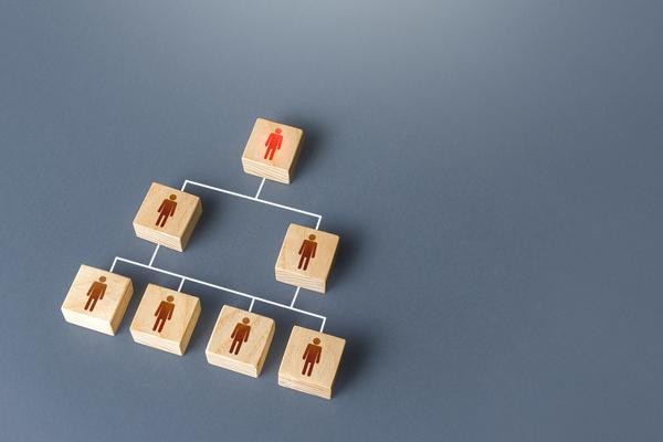 苏州宠胖胖试用期：打造心仪宠物，快乐陪伴在身边 图1