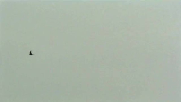 李兰迪新剧骨相美引关注