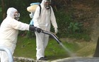 疫情大爆发！张文宏首发声：人是传染源！
