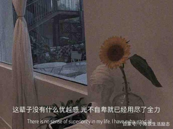 生活需要仪式感，就像平淡的生活需要一束光