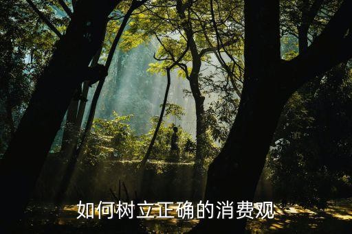 如何树立正确的消费观