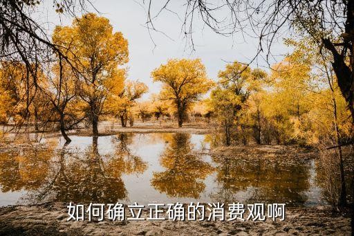 如何确立正确的消费观啊