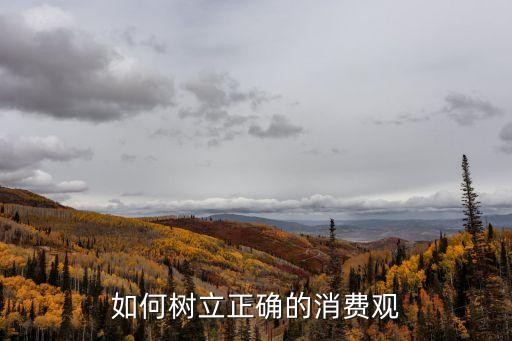 如何树立正确的消费观