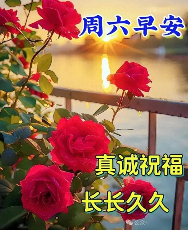 最新愉快漂亮图片祝福，好好生活，慢慢遇见，冬日安暖，周末愉快
