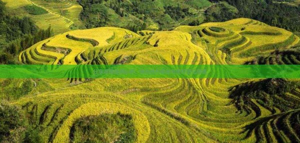 分享海南旅游心得：畅谈旅行体验与美好回忆感悟