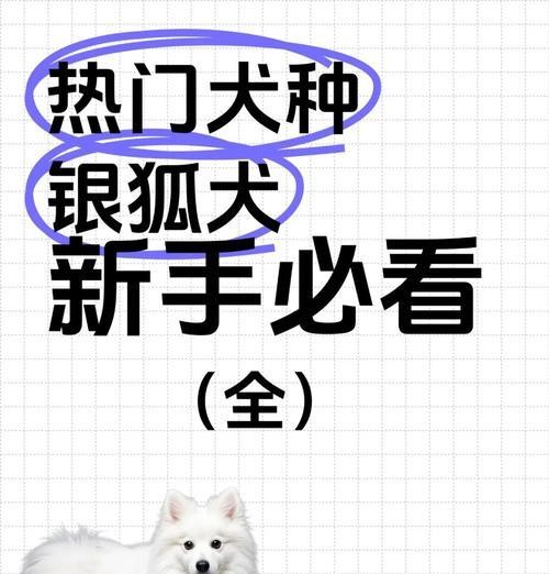 银狐犬的喂养指南（喂养方法和注意事项助你打造健康快乐的宠物<a target=