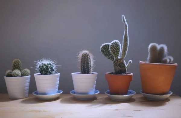 图片4