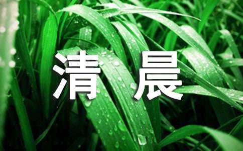 美好的一天从清晨开始的优美句子（精选245句）