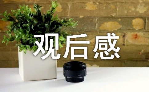 《了不起的盖茨比》观后感（精选10篇）