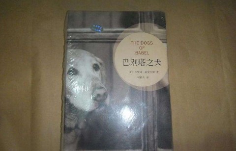 类似追风筝的人这样的书都有什么？
