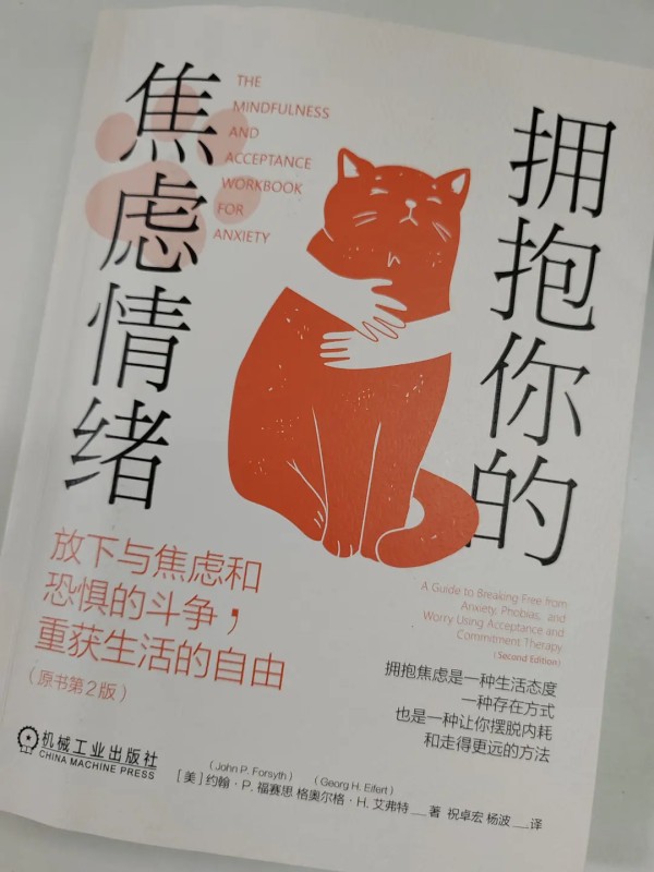 有焦虑情绪的普通人和焦虑症患者必读之书