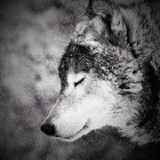 我在荒岛拥抱黎