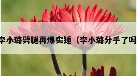 李小璐劈腿再爆实锤（李小璐分手了吗）