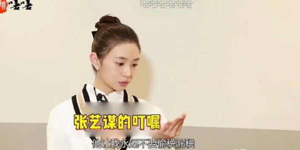娱乐圈明星偷税漏税事件，谋女郎被张艺谋叮嘱，网友：底线太低了