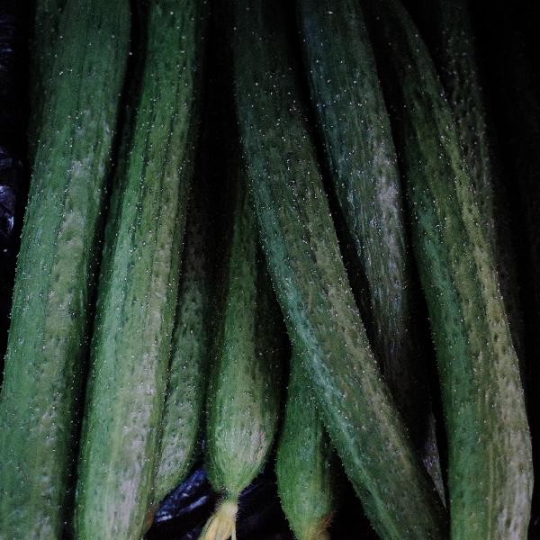 厨房剩菜剩饭如何管理