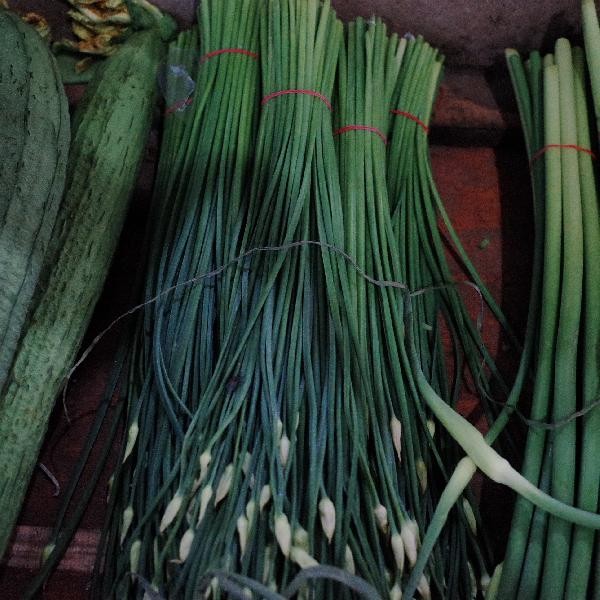 厨房剩菜剩饭如何管理