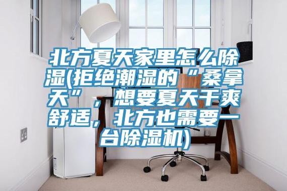 如何解决夏季家中潮湿的问题？有哪些实用的除湿方法？