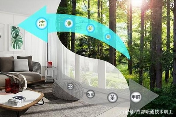如何解决夏季家中潮湿的问题？有哪些实用的除湿方法？