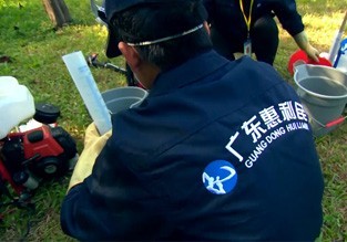 主营业务