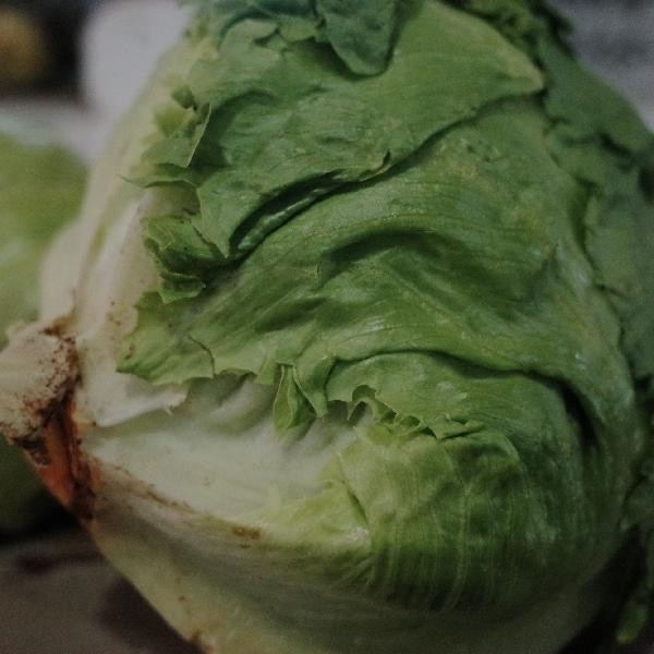 厨房剩饭剩菜环保处理