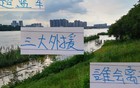 申花三大外援 合同年底到期 谁不会续约 特谢拉可能性最小