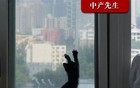 女权今年不吃香了？经济不会重男轻女