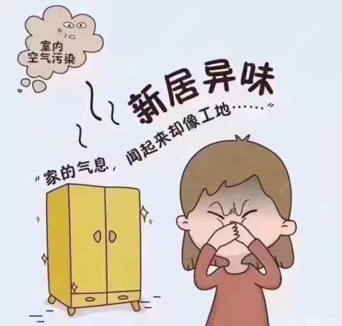 家里有异味怎么办？教你一招搞定