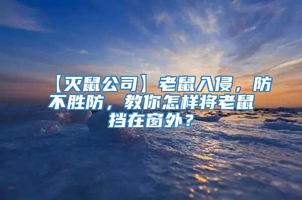 【灭鼠公司】老鼠入侵，防不胜防，教你怎样将老鼠挡在窗外？