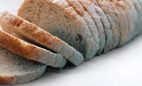 可以实时监测食品是否腐败用的传感器