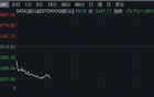 盘前集体下挫！特朗普，突发！