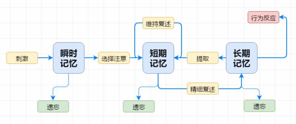记忆的阶段