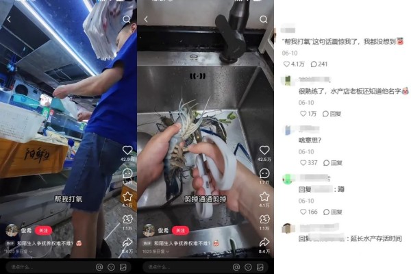小红书10后小孩靠做饭Vlog涨粉百万，流量密码？