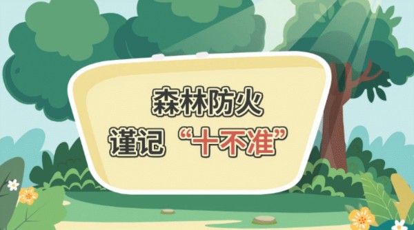 学习短视频制作心得：工具轻松驾驭，创作不是难题！