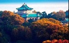 武汉大学困局的背后：“闹”如何绑架了一切？