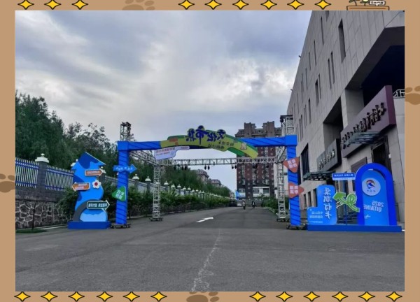 七台河文创市集：夏日文化与娱乐的狂欢盛宴