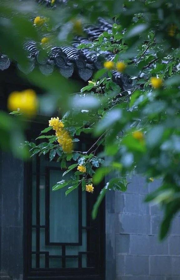 咖啡的诗意时光：生活中的温柔与故事
