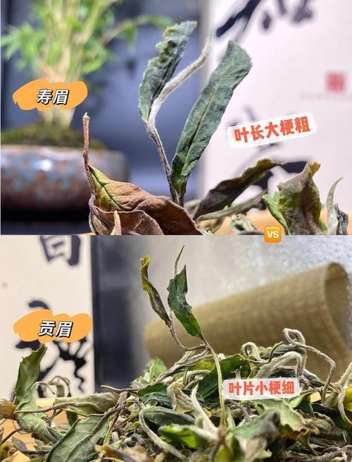 创意生日策划大揭秘！