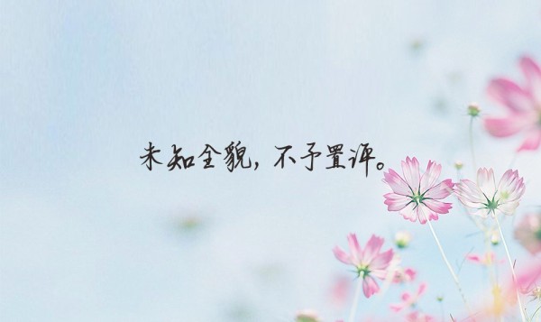 关于宠物的句子，动物文案短句干净治愈