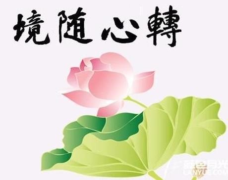 境由心生:就看你心里装进了什么
