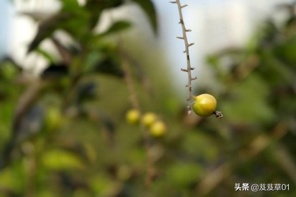 人生低谷时应该高兴，落魄时注意这三点，你就能转败为胜
