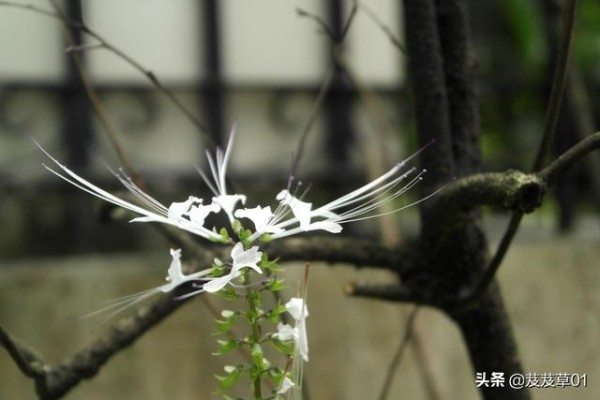 人生低谷时应该高兴，落魄时注意这三点，你就能转败为胜